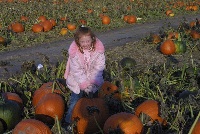 Natalie picking a pumpkin