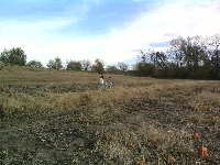 Running through the field