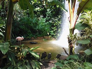 The rainforest looked very pretty