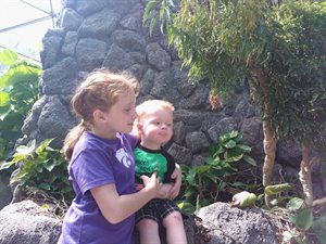 Natalie and Nathan at the top of the rainforest