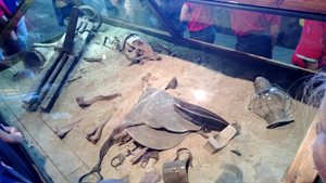 Lawrence the donkey, the only casualty