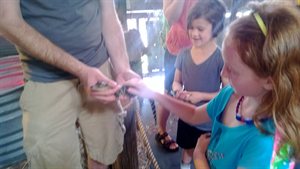 Natalie petting a baby alligator