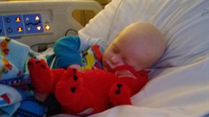 WP_20130809_14_43_19_Pro